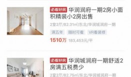 深圳潘先生最新爆料,揭秘事件背后惊人真相